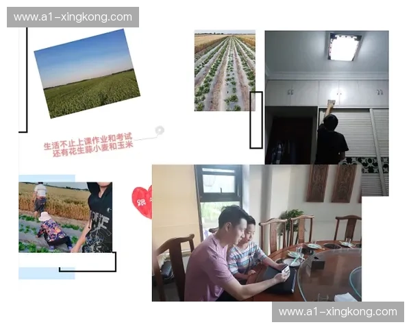 当感性遇到理性：师大与工大的“双城记”，一场跨越围墙的灵魂博弈