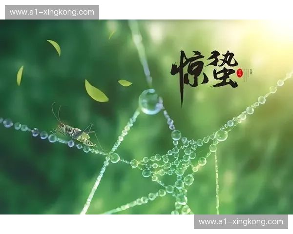 长沙夜未眠：那一夜的1比0，是中国足球灵魂深处的惊蛰